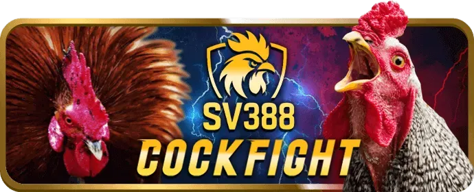 VIP Club Đẳng Cấp